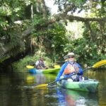Small Group Scenic Wekiva River Kayak Tour near Orlando - What to Expect on the Wekiva River Kayak Tour