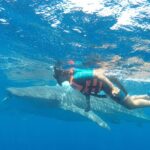 Small Group Whale Shark Encounter - 10 years in business - Practical Details & Tips