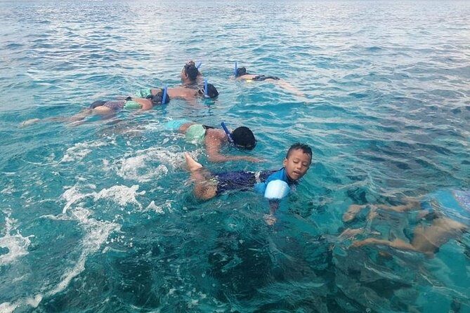 Snorkel Adventure at Cozumel! Transportation from Cancun & Playa Del Carmen - Who is This Tour Best For?