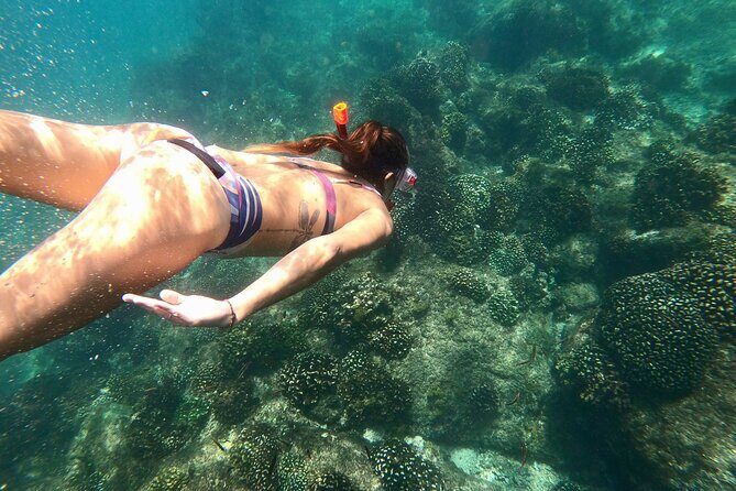 Snorkel and Whale Platinum Tour (Dec 15- Apr 15) - The Value and Practical Aspects