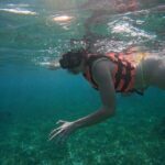 Snorkel at the Reef 2 HOURS Puerto Morelos National park - What Makes This Tour Stand Out?
