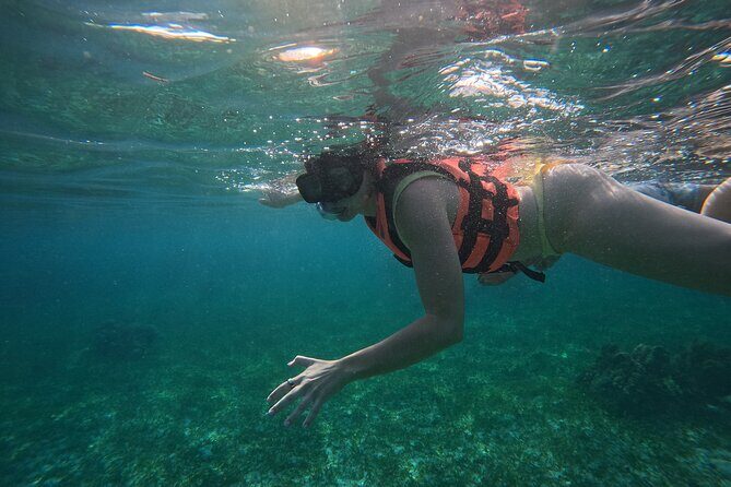 Snorkel at the Reef 2 HOURS Puerto Morelos National park - What Makes This Tour Stand Out?