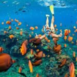 Snorkel in the second largest reef in the world Colorful tour in Puerto Morelos - An authentic half-day escape to Puerto Morelos