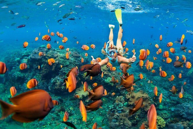 Snorkel in the second largest reef in the world Colorful tour in Puerto Morelos - An authentic half-day escape to Puerto Morelos
