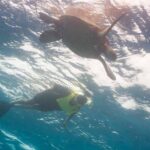 Snorkel with Turtles - Final Thoughts
