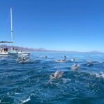 Snorkeling Catamaran Island Cruise - Detailed Breakdown of the Itinerary