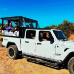 Sonoran Desert To MountainTop Jeep Tour minutes from Scottsdale - Final Thoughts: Who Should Consider This Tour?