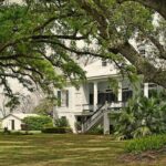 St. Joseph and Felicity Plantation Combo Tour - A Closer Look at the Tour Experience