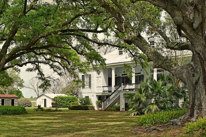 St. Joseph and Felicity Plantation Combo Tour - A Closer Look at the Tour Experience