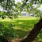 St. Joseph Plantation Tour - The Sum Up: Is It Worth It?