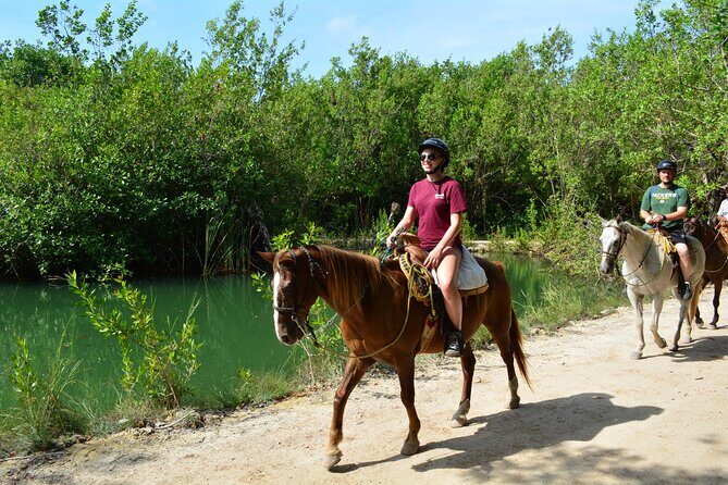 STROLL the Jungle Trails on a HORSE. Includes Transportation and Equipment. - Final Thoughts
