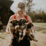Summer Kennel Visit at Historic Trail Breaker Kennel - Why it’s a must-do in Fairbanks