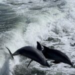 Sunset Tiki Boat Cruise (BYOB) - Frequently Asked Questions