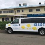 Sunset Whale Watching Shared Activity - A Deep Dive into the Whale Watching Adventure