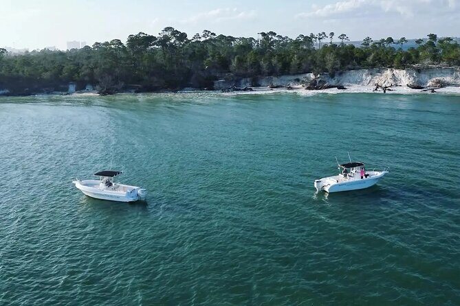 Swim with Dolphins And Snorkeling Group Tour - Itinerary Breakdown: What to Expect