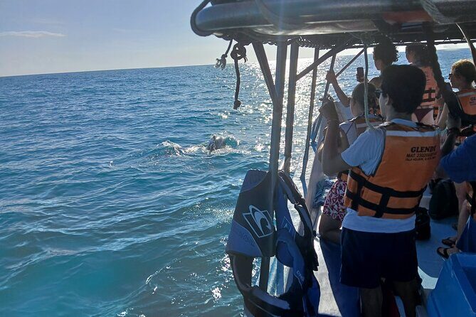 Swim with the Whale Shark on Holbox Island - Why This Tour Works Well