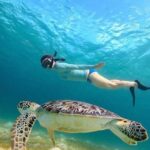 Swim with Turtles in Akumal, Cenote and Visit the Archaeological Zone - Who Will Love This Tour?