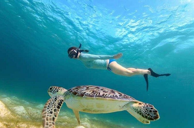 Swim with Turtles in Akumal, Cenote and Visit the Archaeological Zone - Who Will Love This Tour?