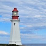 Sydney City & Coastline Tour - Detailed Breakdown of the Itinerary