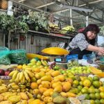 Tacos 101 Mexico City Taco Experience - Practical Aspects & Value