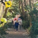 Tastes Through Time - Charleston's Best Food Tour - Frequently Asked Questions