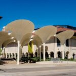 Tea Around Town Austin: Elegant Tea Bus Tour and Treats - Practical Details & Value Analysis