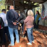 Teotihuacan Exclusive Cueva Tour and Breakfast - Practical Details and What to Expect