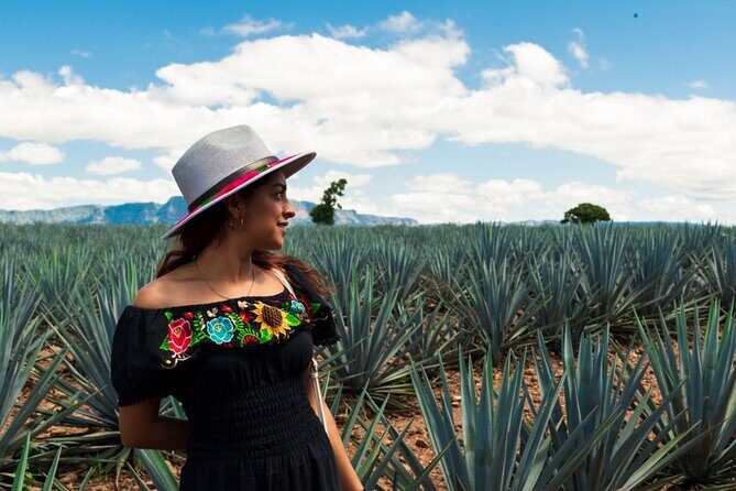 Tequila Full-Day Discovery Tour of Amatitan - What’s Included and What to Consider
