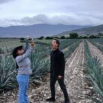 The Mezcal Tour - Practical Insights for Your Trip