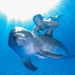 The only Natural Space Dolphin Encounter in Cabo Optional Pickup! - FAQs