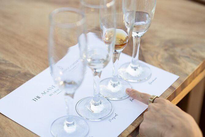 The Ultimate Agave Tasting with Tequila, Mezcal & more! - The Group and Logistics