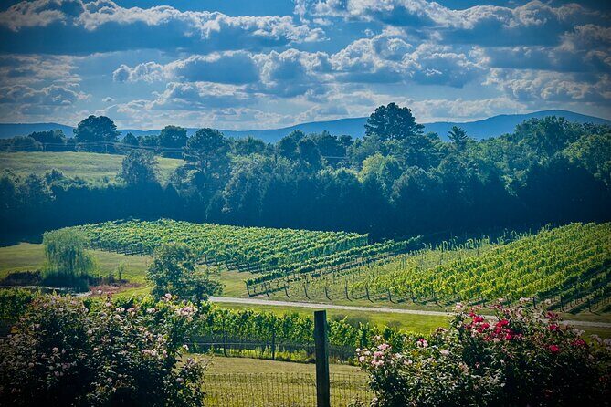 Three Vineyards Half Day Private Wine Tour From Asheville - In-Depth Look at the Itinerary