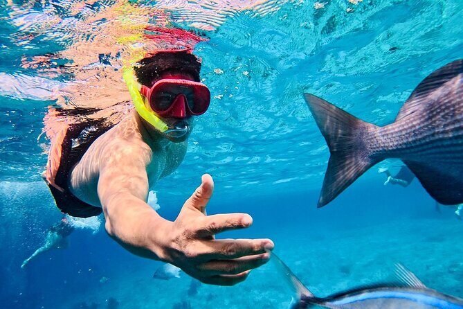 Top Experience: Snorkel Tour & All Inclusive Beach Club - Is It Worth the Price?