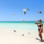 Tour in Holbox with Transportation and Lunch - The Value of the Tour
