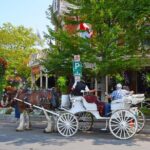 Tour of Niagara Falls (Niagara Falls) - Practical Details and What You Should Know