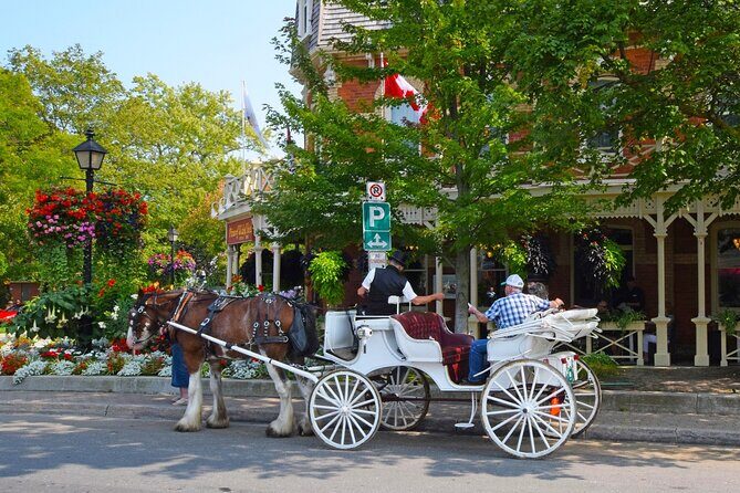 Tour of Niagara Falls (Niagara Falls) - Practical Details and What You Should Know
