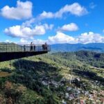 Tour of the Sierra Juárez, Ixtlán, Guelatao and Capulálpam - Transportation and Group Dynamics