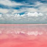 Tour to Las Coloradas Pink Waters and Boat Ride in Rio Lagartos with Lunch. - Practical Tips for Future Travelers