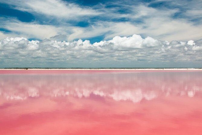 Tour to Las Coloradas Pink Waters and Boat Ride in Rio Lagartos with Lunch. - Practical Tips for Future Travelers