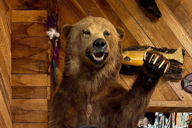 Town of Banff Highlights 2 Hour Walking Tour | Gratuity-Based - Who Will Love This Tour?