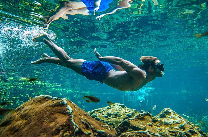 Tulum Ruinas and Tortugas Express - FAQ