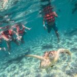 Tulum Ruins, Sea Turtles & Cenote Snorkeling Adventure Tour - Practical Details and Tips