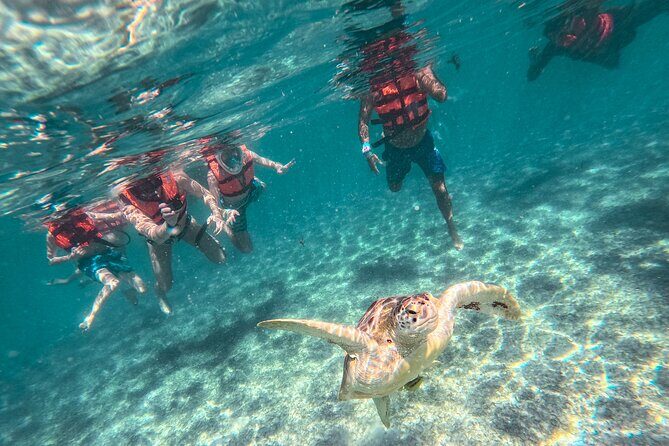 Tulum Ruins, Sea Turtles & Cenote Snorkeling Adventure Tour - Practical Details and Tips