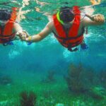 Tulum Ruins Snorkel with Sea Turtle and Cenotes Private Tour - What’s Included and What’s Not