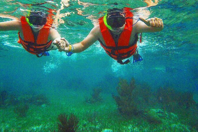 Tulum Ruins Snorkel with Sea Turtle and Cenotes Private Tour - What’s Included and What’s Not