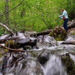 Turnagain Arm Highlights Photo Tour - Final Thoughts