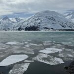 Turnagain Arm Winter Scenic Tour - Who Will Love This Tour?