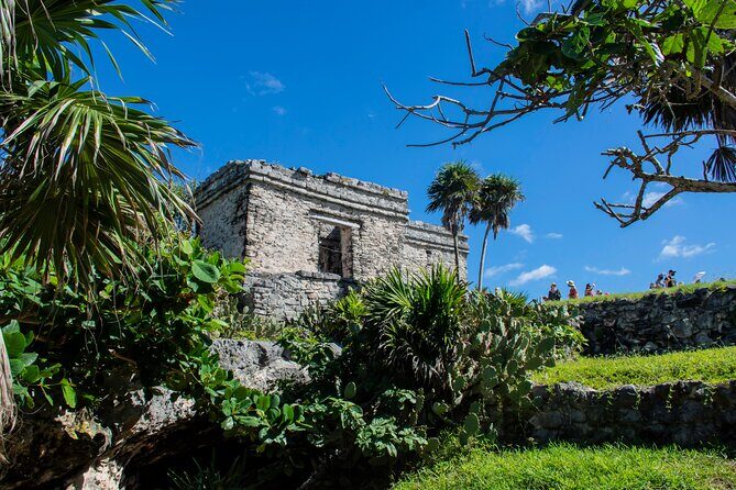 Turtle Swim & Tulum Ruins! Round Transportation from Playa del Carmen - Tulum Archaeological Site