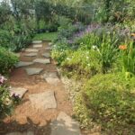 Urban Orchard in Desierto de los Leones in Mexico City - Transportation and Practical Details