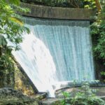 Uruapan Tour - The Value of the Tour